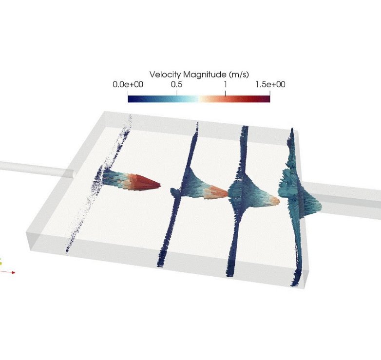 CFD and advanced numerical modelling